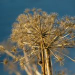 Sólin hækkar á lofti og FEB námskeiðin hefjast að nýju