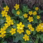 Aðalfundur FEB árið 2021, verður haldinn 6. maí