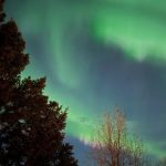 Framboð til stjórnar FEB 2026