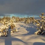 Hátíðakveðjur