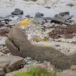Kynning/fyrirlestur um erfðamál og erfðaskrár