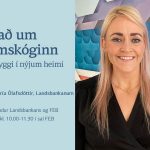 Netöryggi í nýjum heimi
